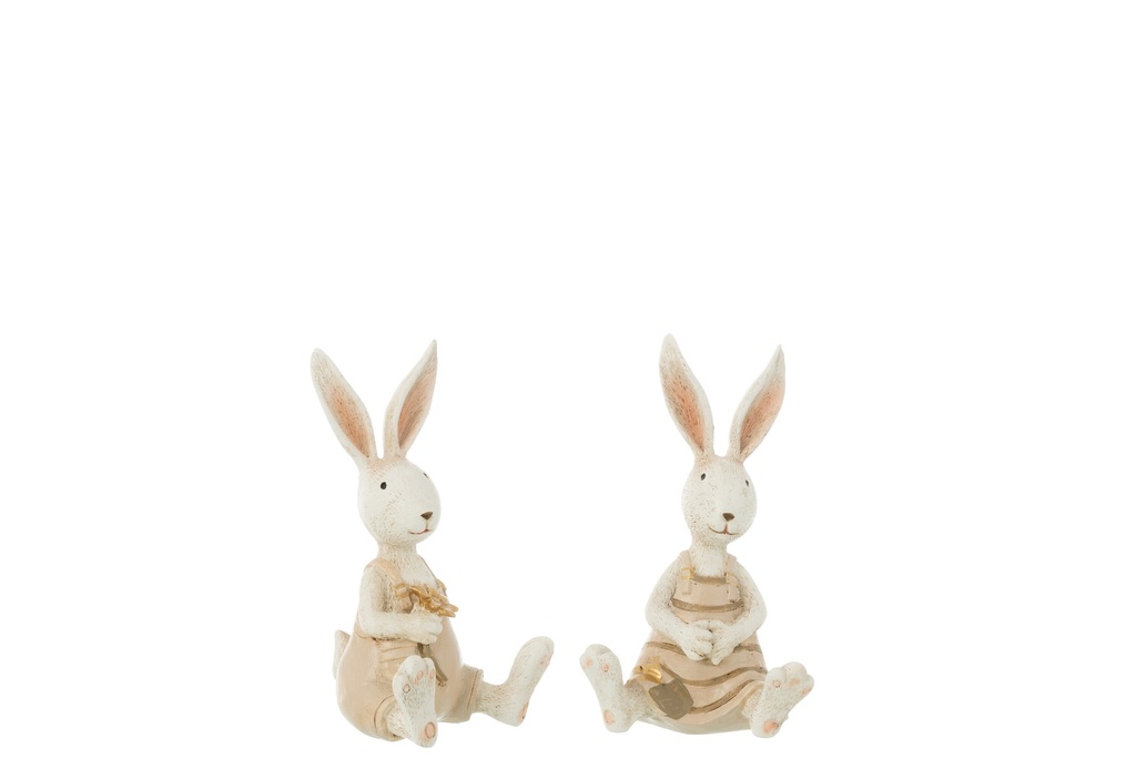 Mélange de résine de fleurs de lapin assis
