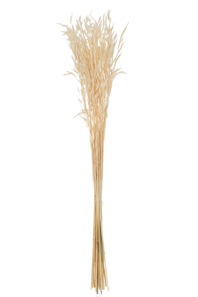 Bundle Dried Oats Ecru