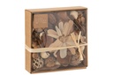 Pot-pourri Fleurs/Noix Marron