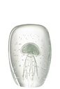 Presse-papier Calypso Carré Verre Transparent/Vert