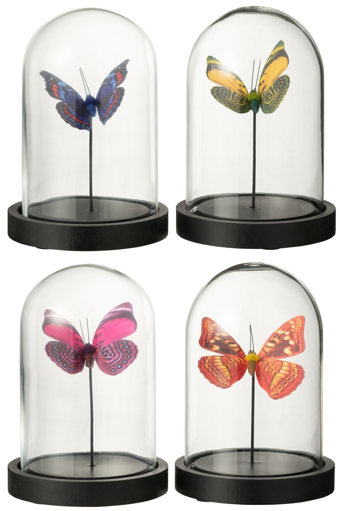 Cloche en verre papillon en mélange verre/papier