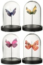 Bell Jar Butterfly Glass/Paper Mix
