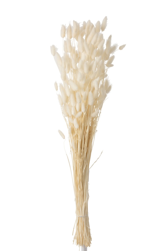 Bundle Feather Bunnytail Dried Ecru