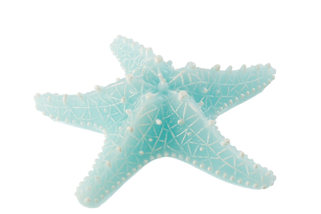 Bougie Étoile de Mer Cire Azur