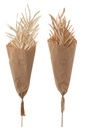 Dried Leaves 2 Pieces Natural