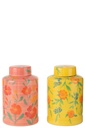 Jar Alegria Clay Mix Assortment
