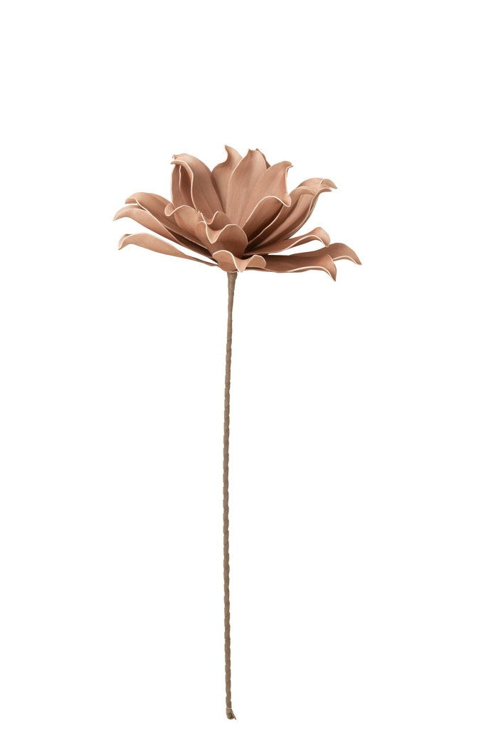 Flower Branch Short Leaves 1