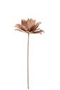 Flower Branch Short Leaves 1