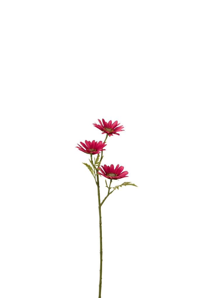 Fleur Marguerite Plastique Fuchsia