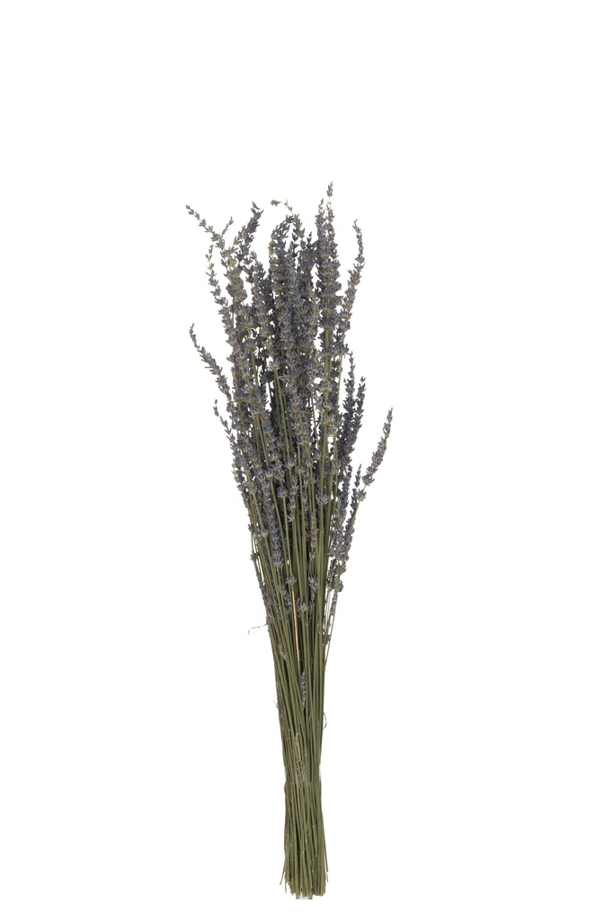 Bouquet de lavande séchée violette
