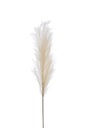 Branche Plumeau Plastique Beige Moyen