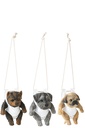 Dog+Diaper A Polyresin Mix Assortment