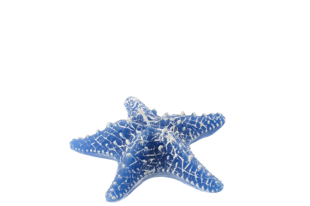 Bougie Étoile de Mer Cire Bleue