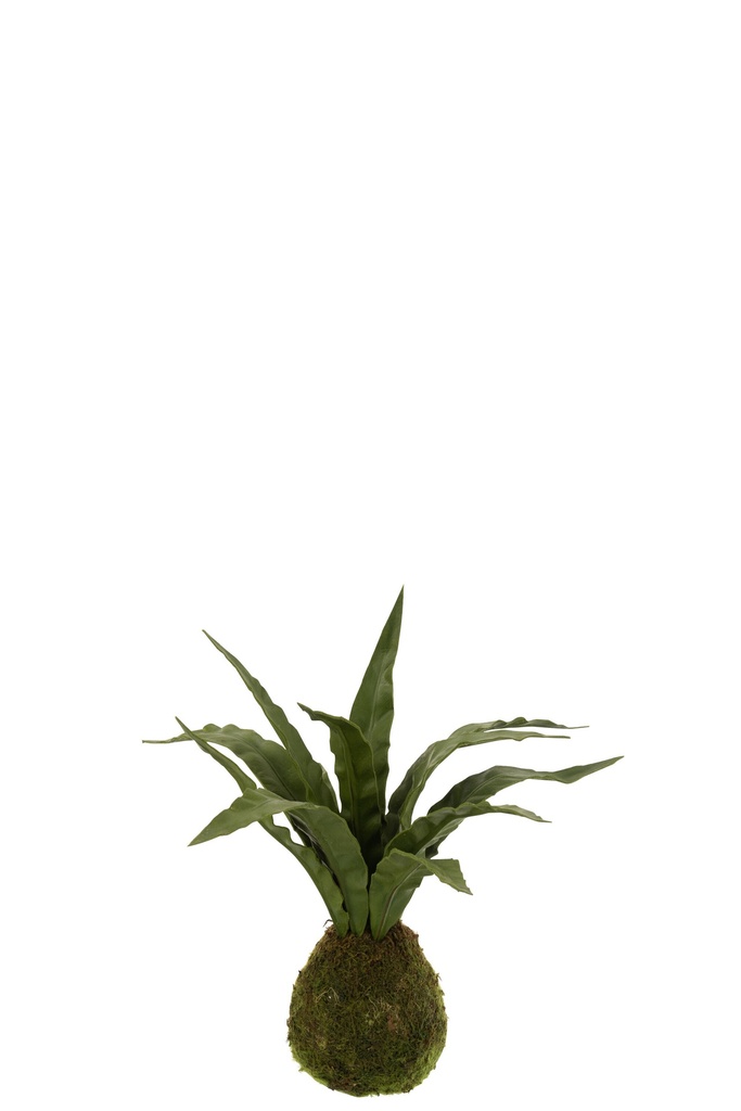 [12520] Snake Plant Ball Soil Plastic