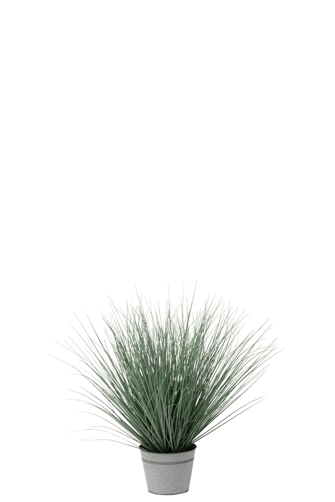 Graminées en pot métal plastique