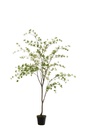 Plant Fine Leaves Plastic Green/Black