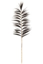 Branch Rayung Grass Black