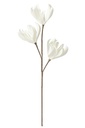 Flower Branch Short Leaves 3