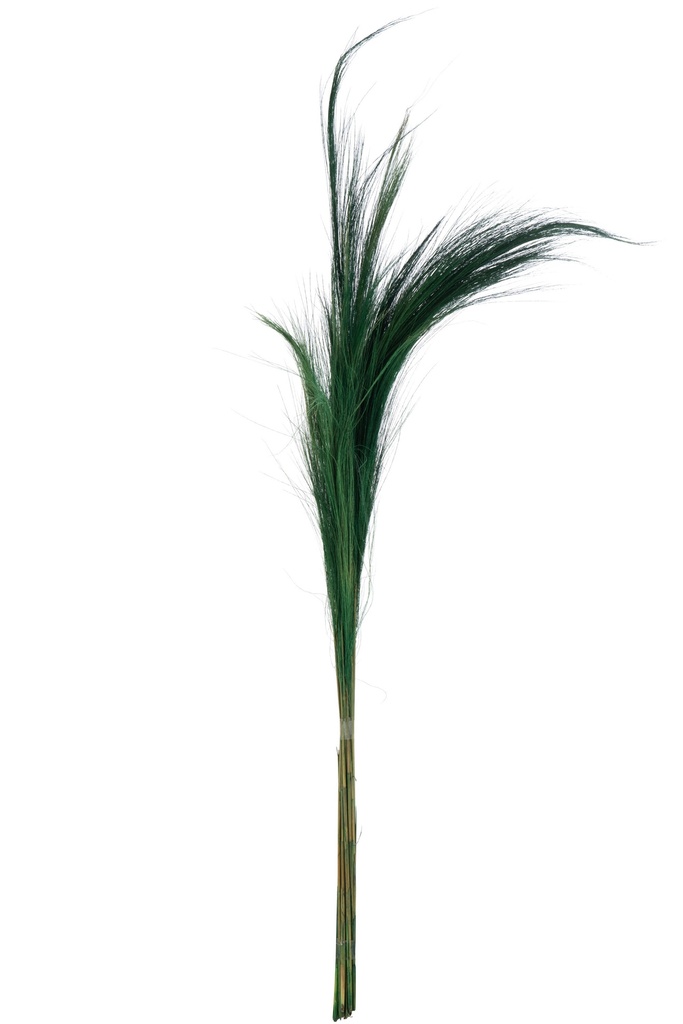 [42715] Paquet de 15 herbes colorées