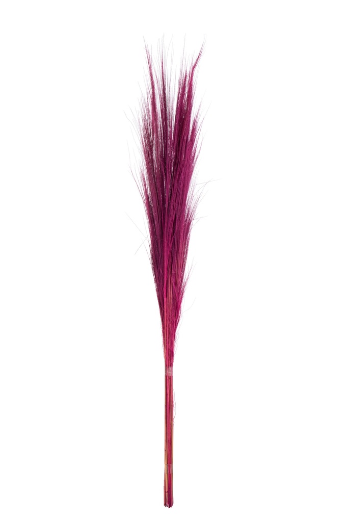 Bundle Of 15 Colored Grass