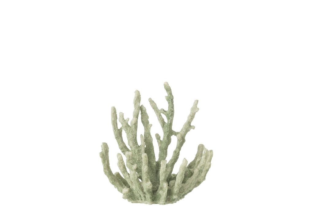[60026] Coral Polyresin Mint Green Medium