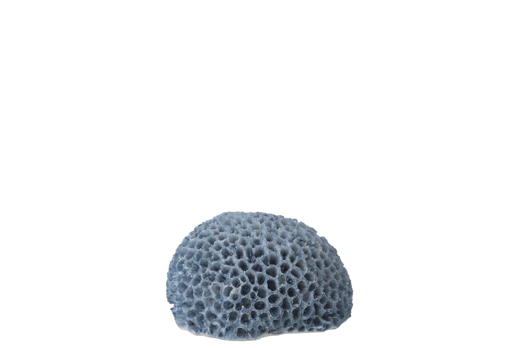 [60034] Coral Polyresin Light Blue Small