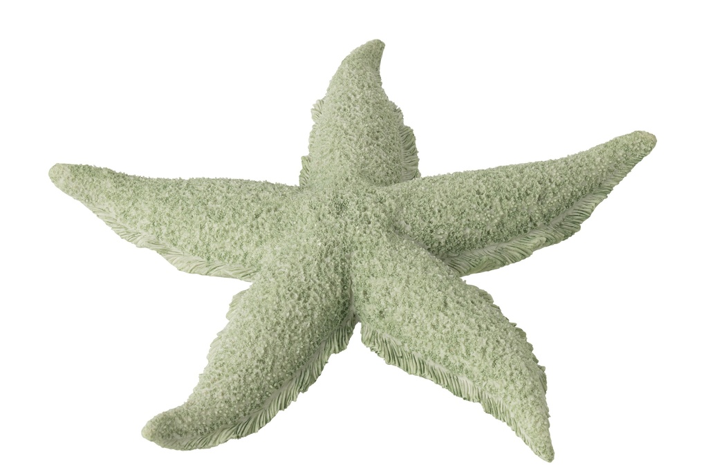 [60024] Starfish Polyresin Mint Green Large