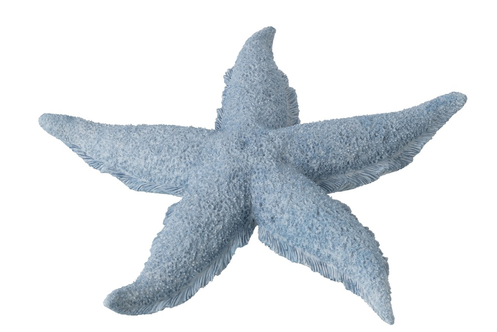 [60033] Starfish Polyresin Light Blue Large
