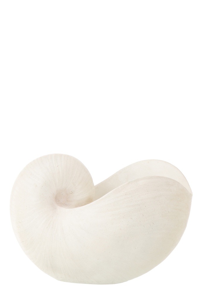 [64731] Shell Resin White