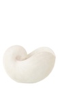 Shell Resin White