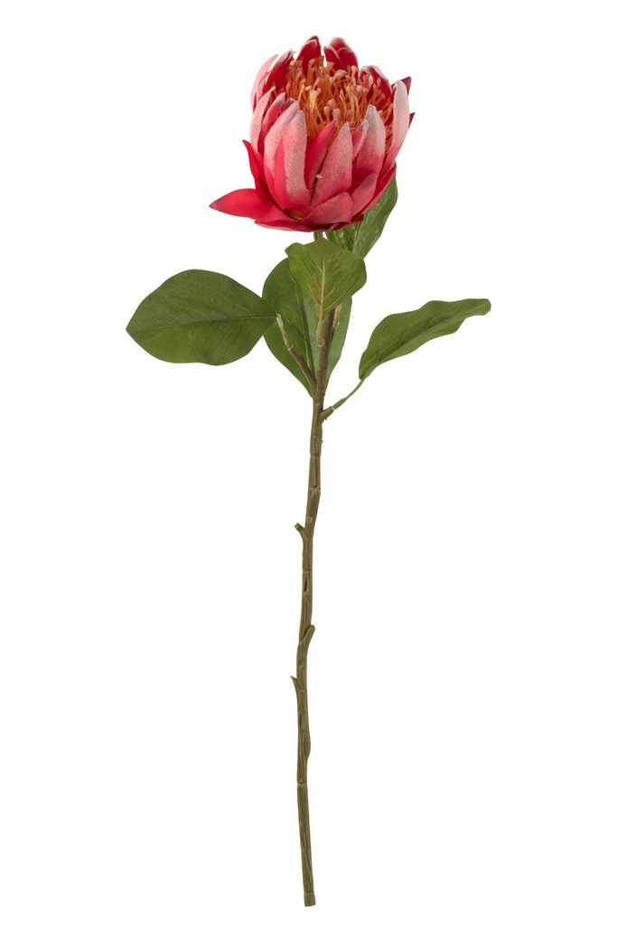 [12459] Protea Branch Plastic Red