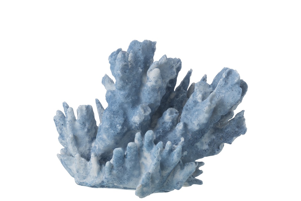 [60036] Coral Polyresin Light Blue Large