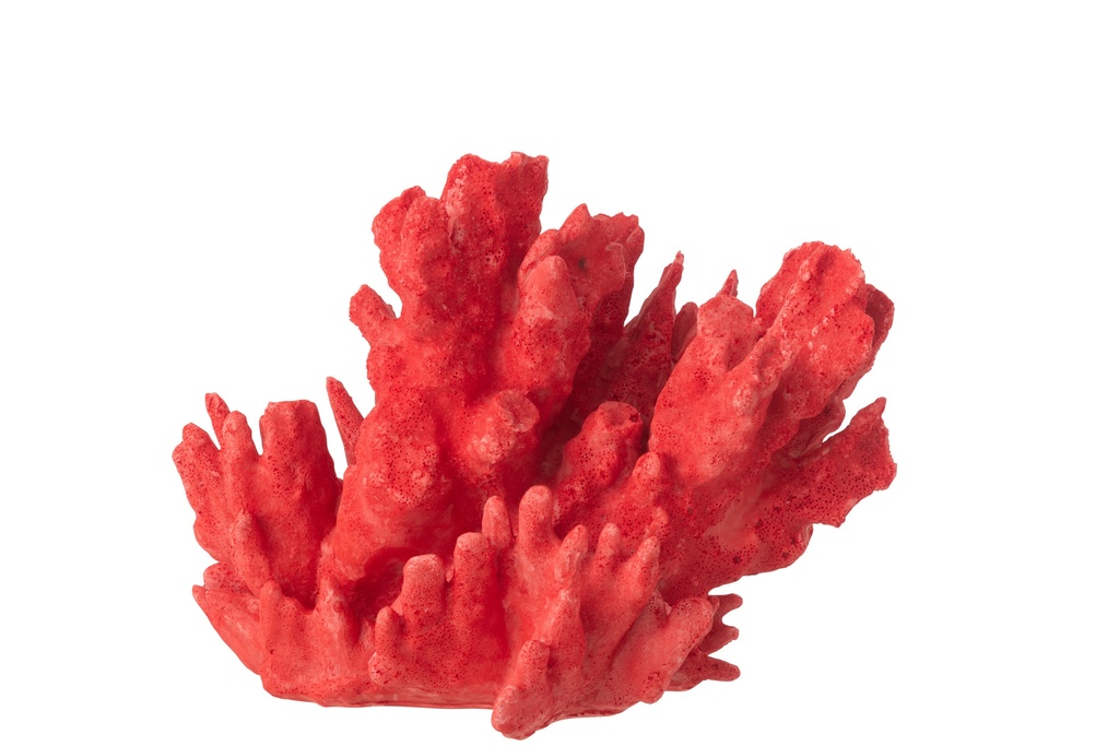 [60041] Coral Polyresin Red Large