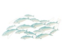 Wall Decoration Group Of Fishes