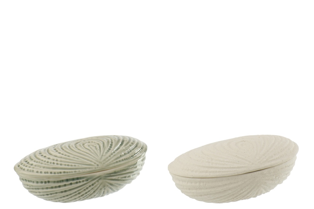 Box Shell Stoneware White/Olive Assortment