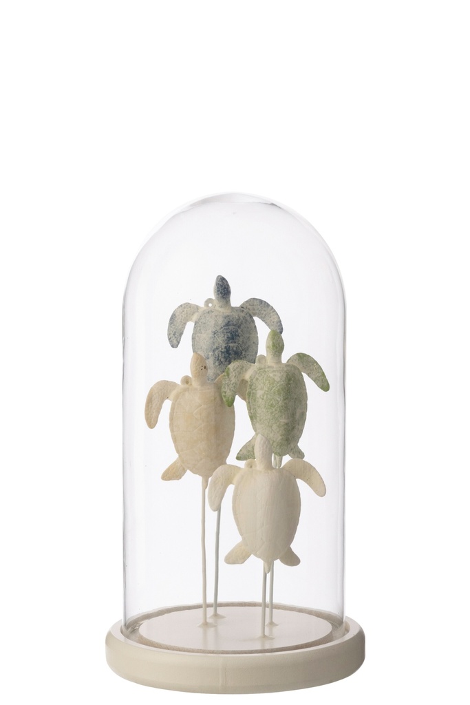 Decorative Bell Jar Turtle Glass