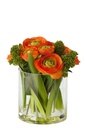 Ranunculus In Vase Fabric Orange/Transparent