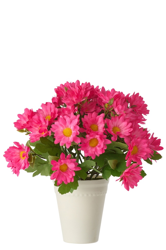 Daisy PVC Fuchsia
