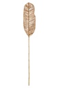Decorative Branch Leaf Bark Natural
