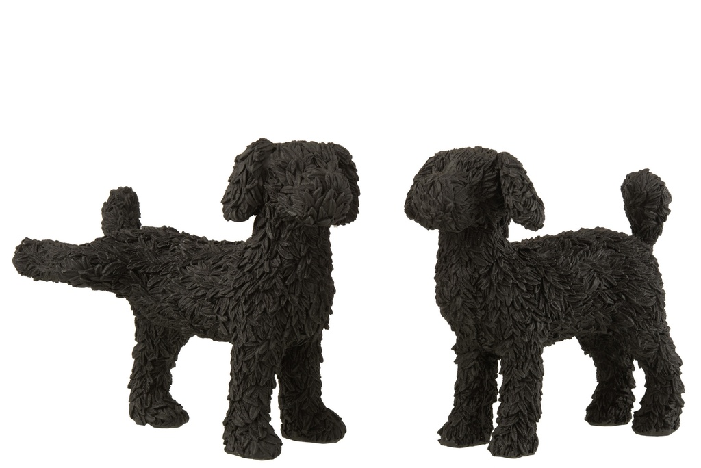 Dog Max Poly Black Assortment
