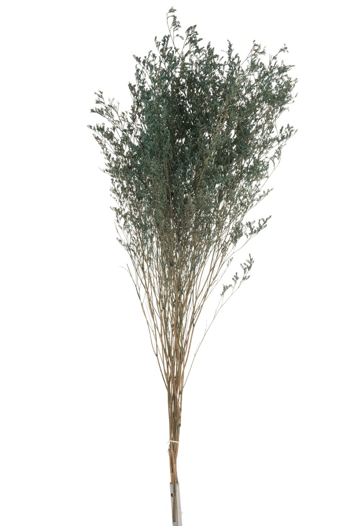 Bundle Sea Lavender Dried Grey