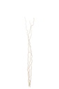 Bundle Of 3 Branch Dry