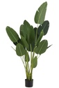 Strelitzia Plastique Vert Grand