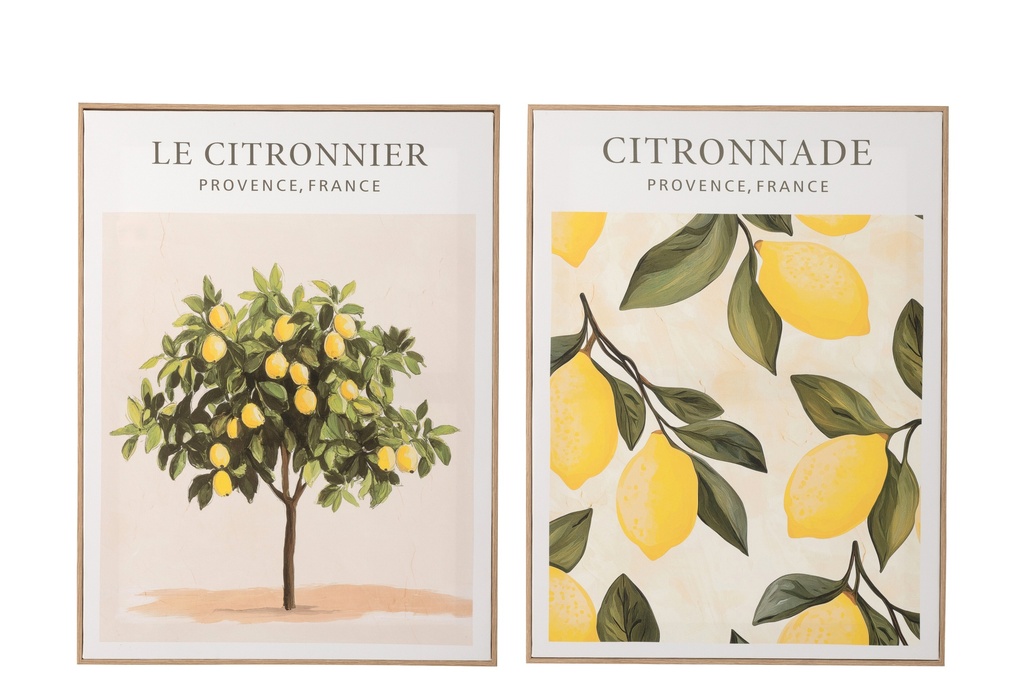 Wall Decoration Citronnier Canvas Multicolored