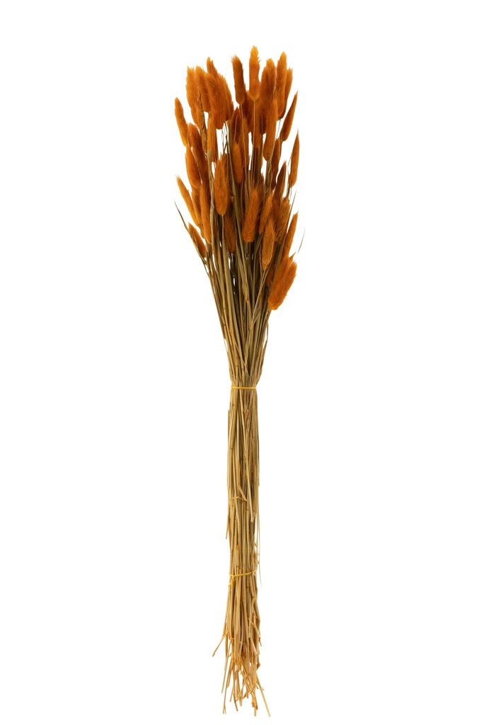 [33211] Bouquet d'oranges séchées Bunnytail