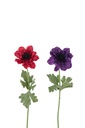 Anemone Stem Artificial Fuchsia/Paars Assortment