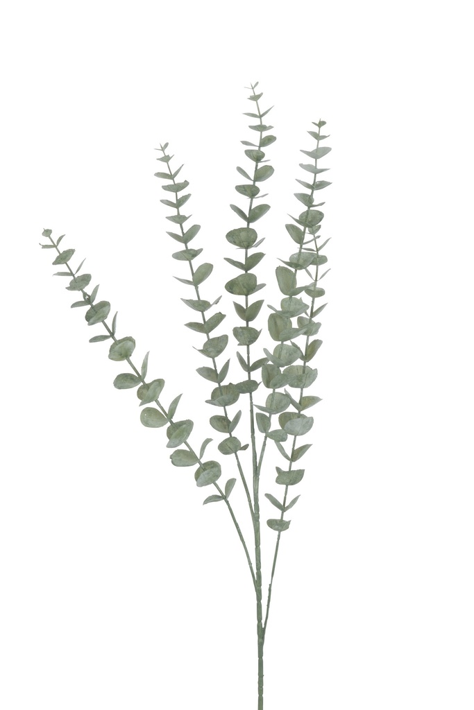 [37583] Branch Eucalyptus Leaves Plastic Green