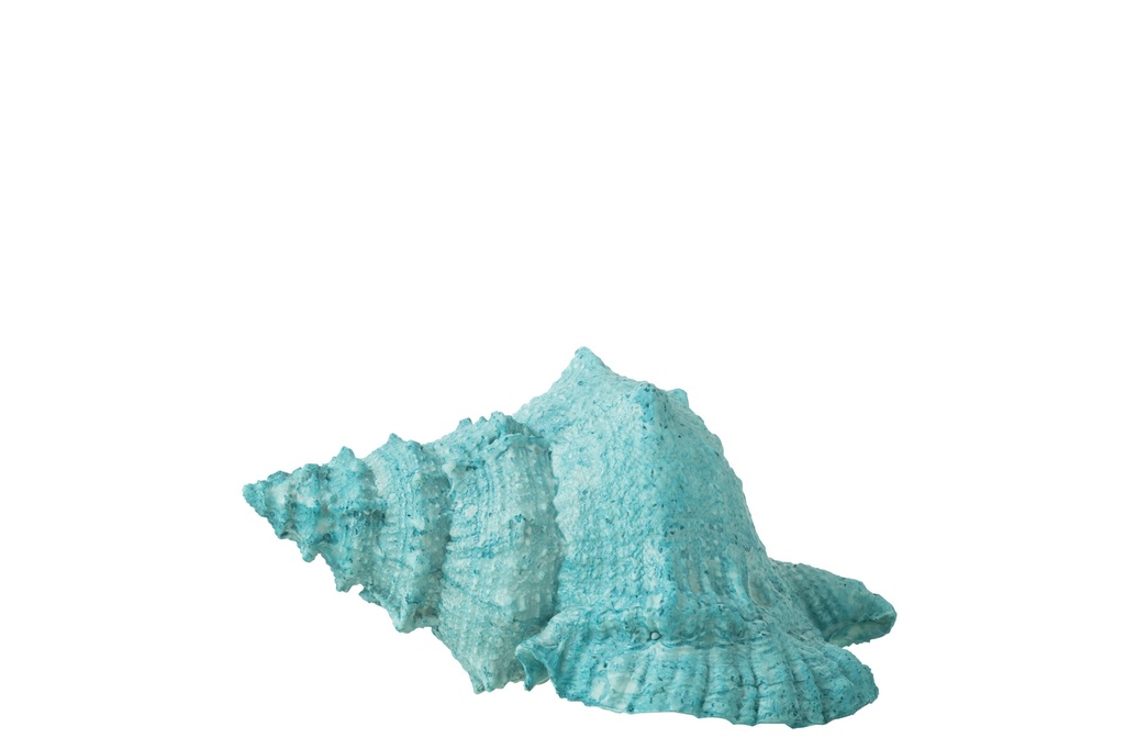 [40508] Seashell Polyresin Azure