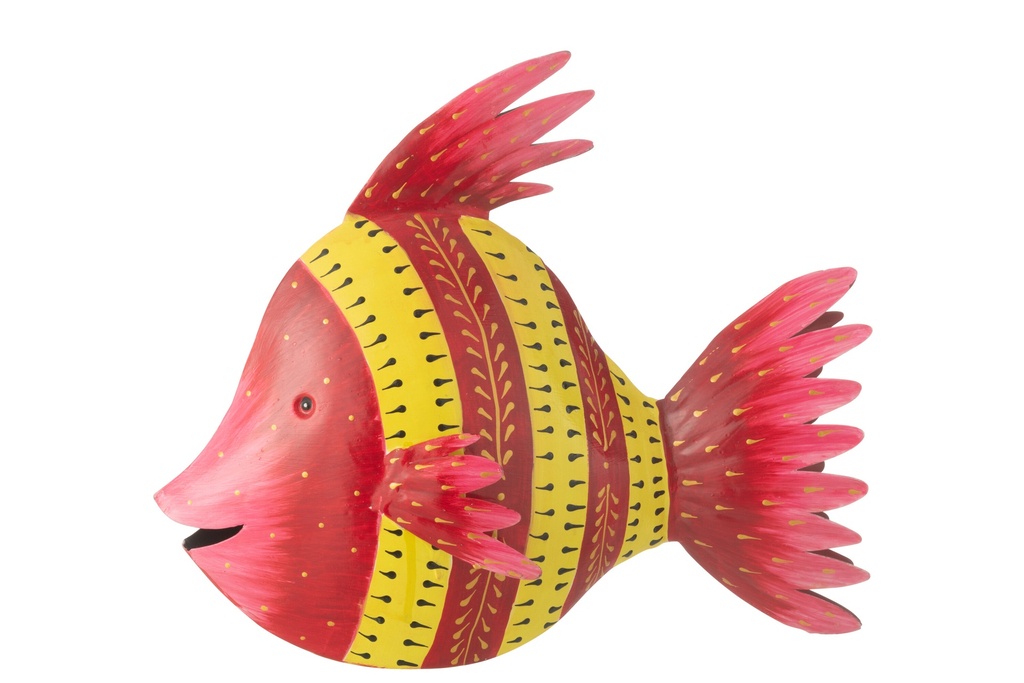 [50316] Poisson Fer Rouge/Jaune Grand