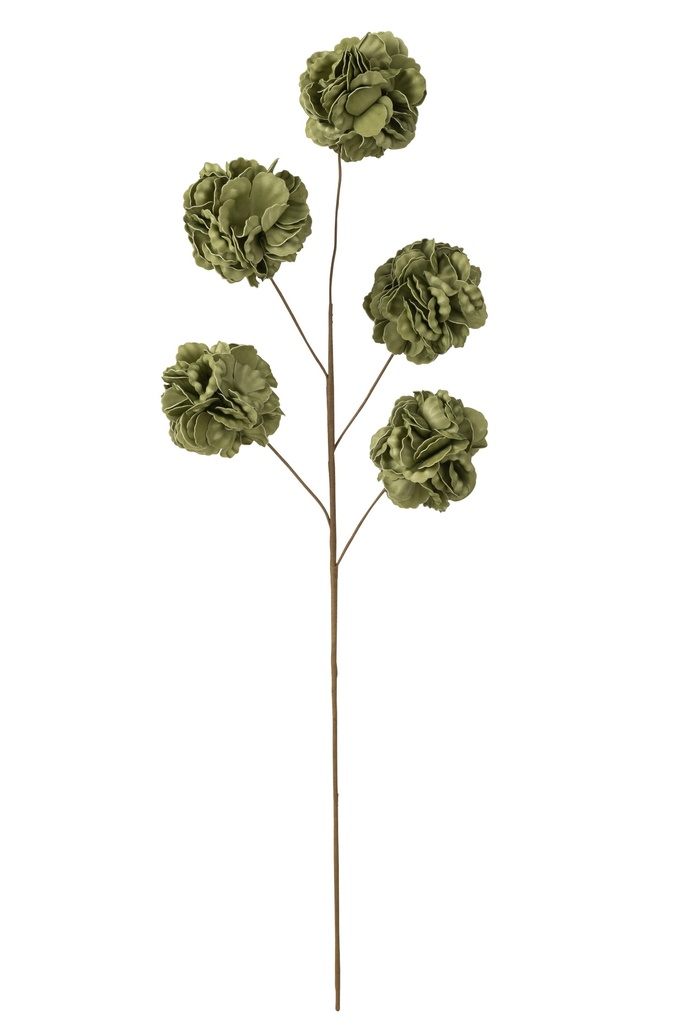[51669] Branche de fleurs 5 pompons EVA